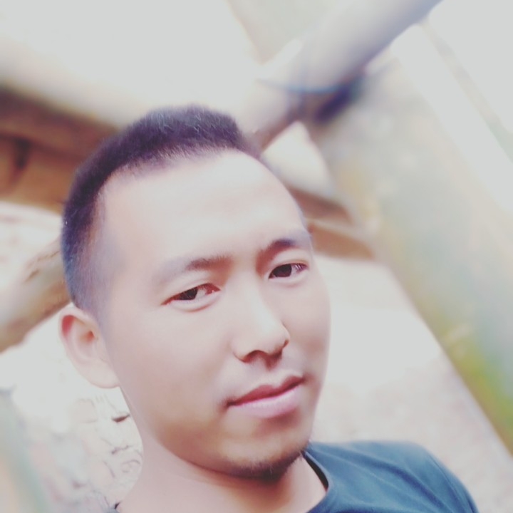 孤心和昏睡的照片