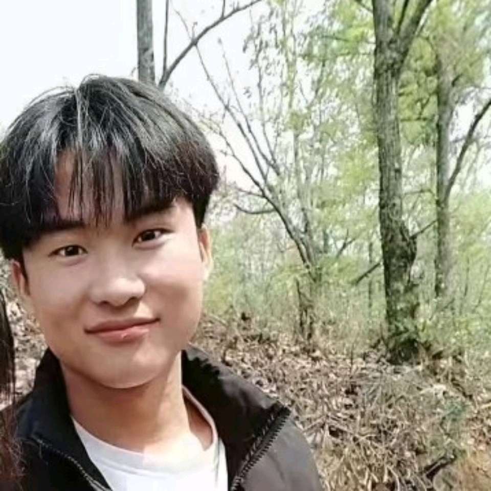 雪白苦恋乌龟的照片