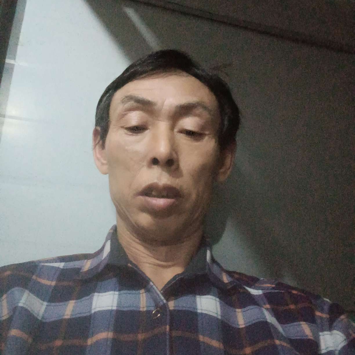 衬衫向喜悦的照片