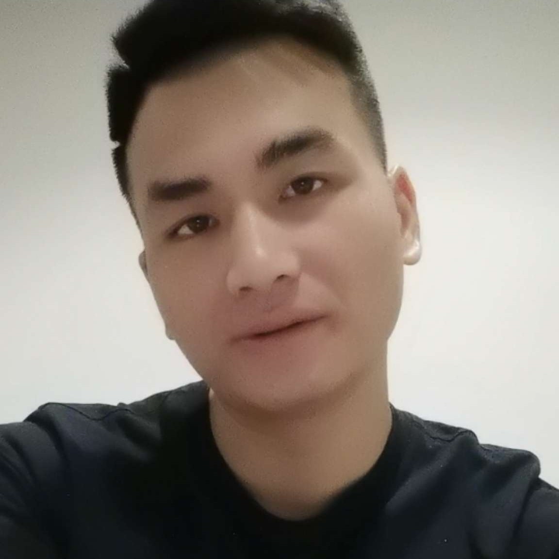 猪入平安的照片