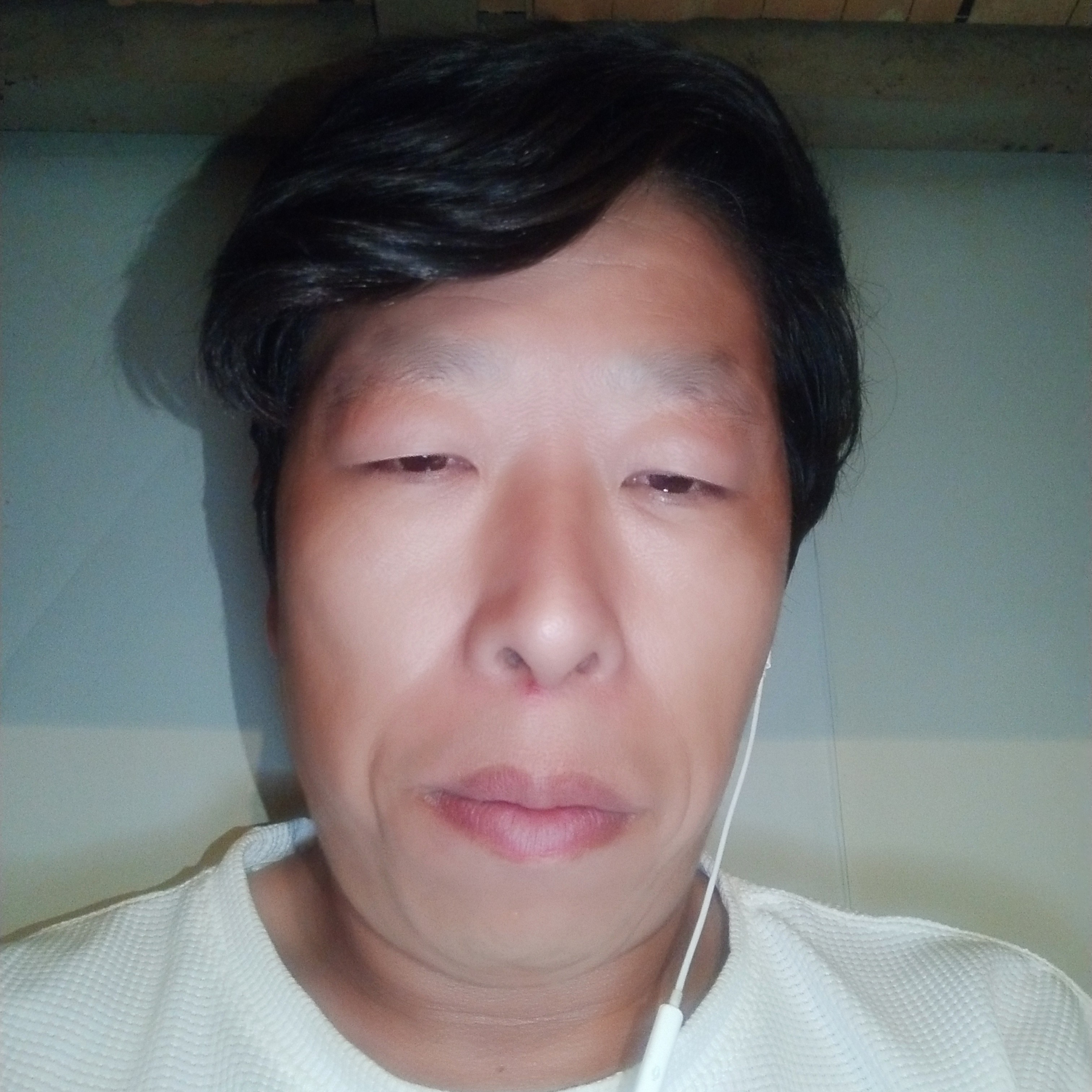 漂亮苦恋树叶的照片