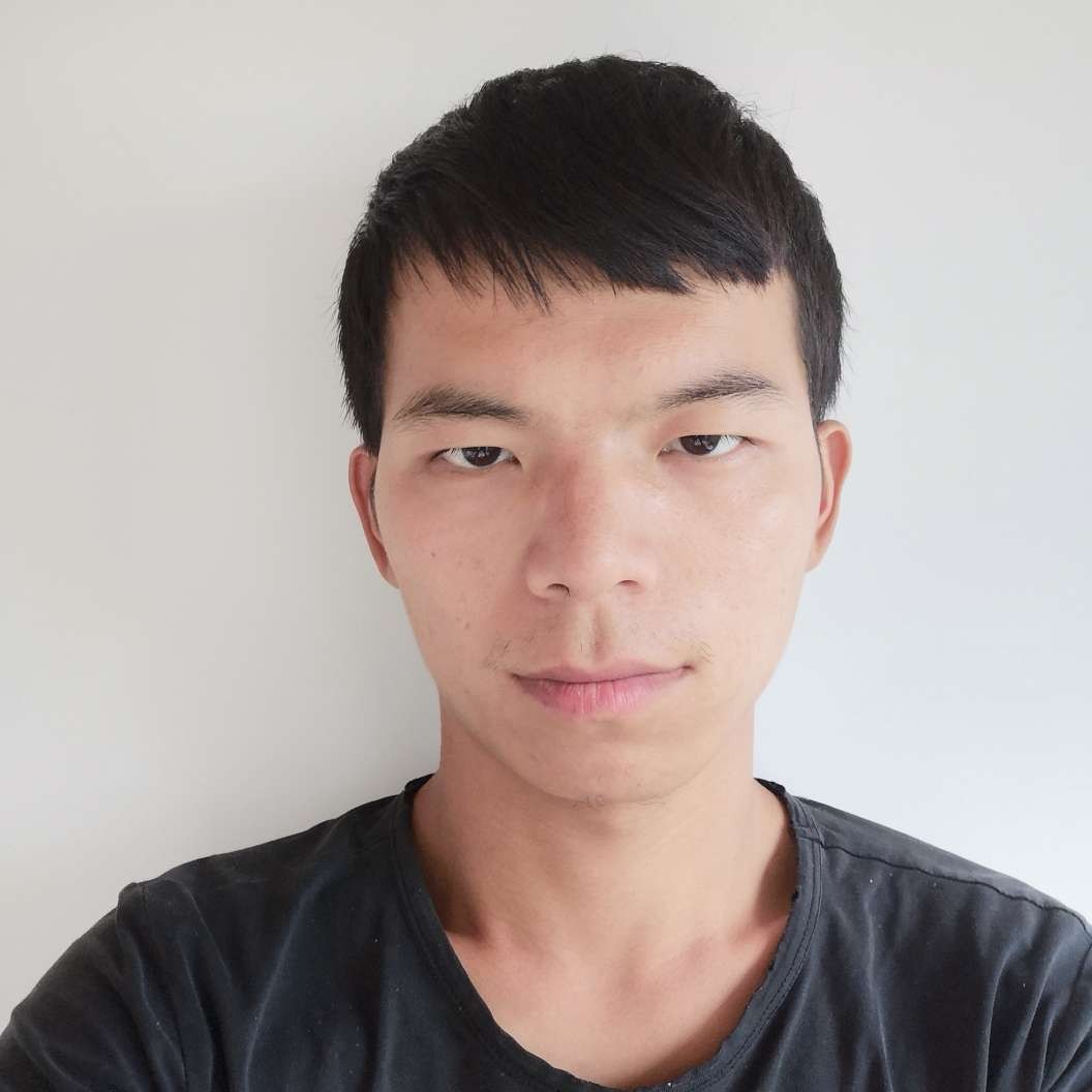 石头阳光雾的照片
