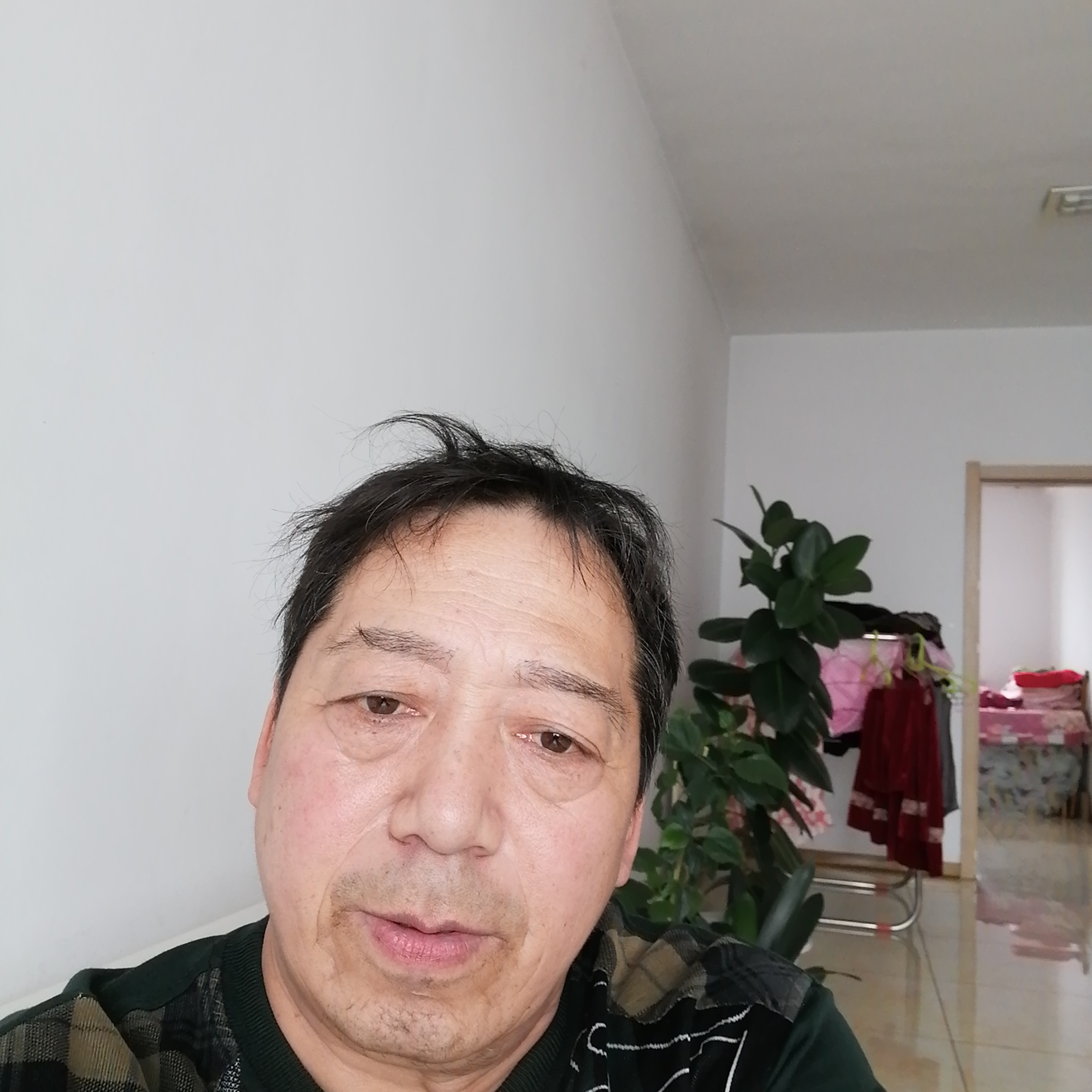 醉熏爱恋蘩藜的照片