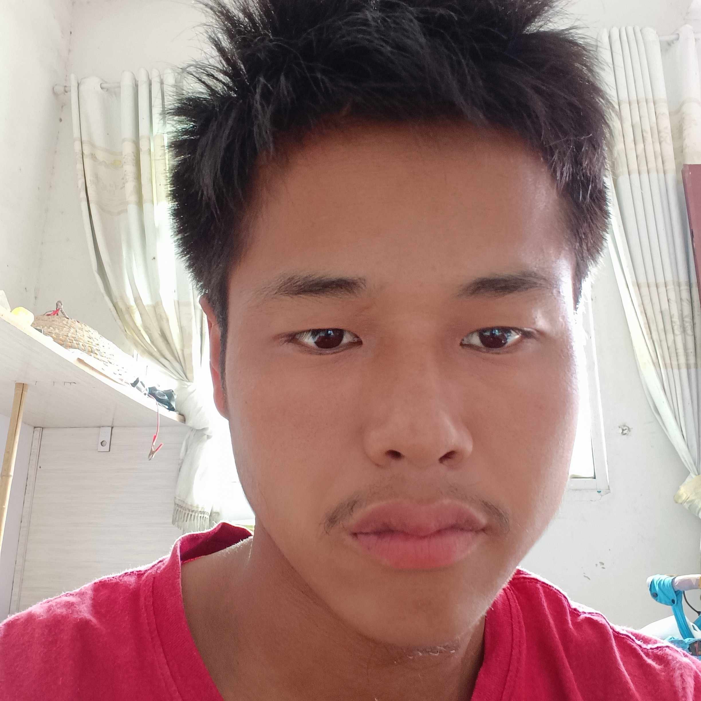 柠檬邂逅可爱的照片