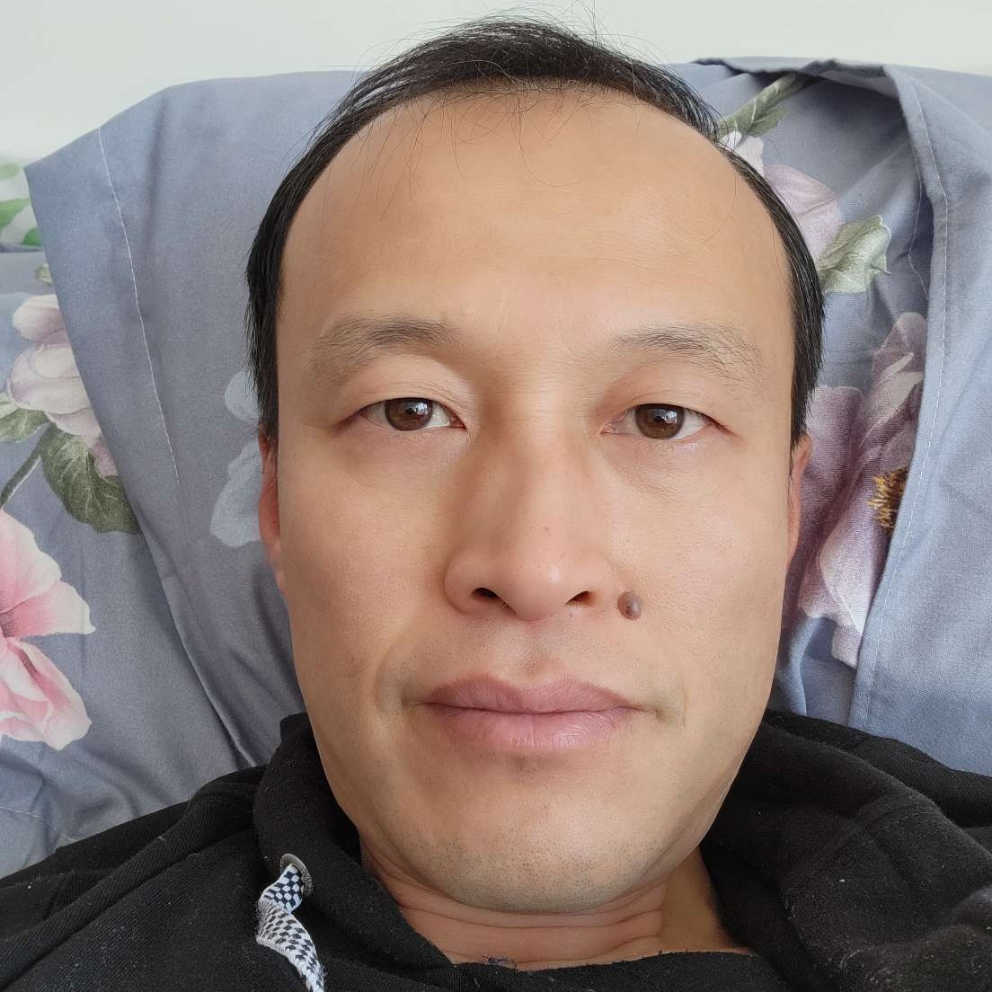 超越梦想之鸿鹄的照片
