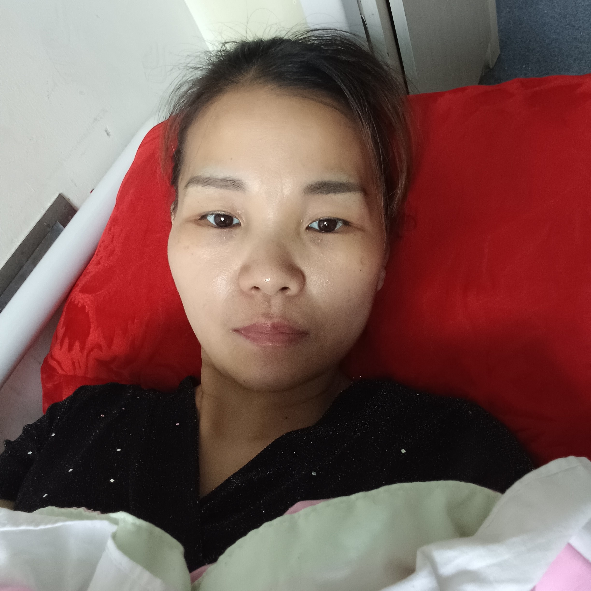 唯一de雨林的照片