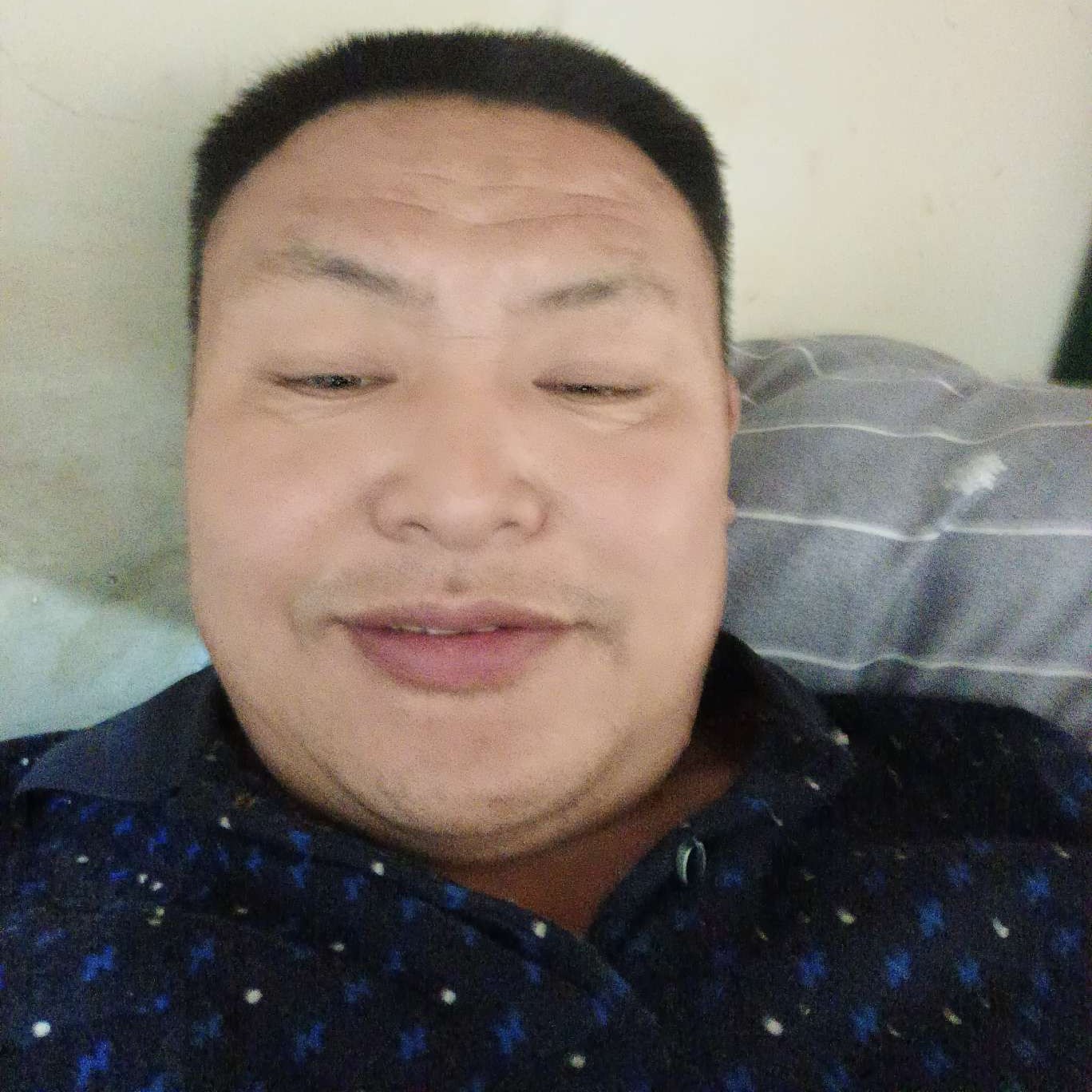 小海豚保卫单薄的照片