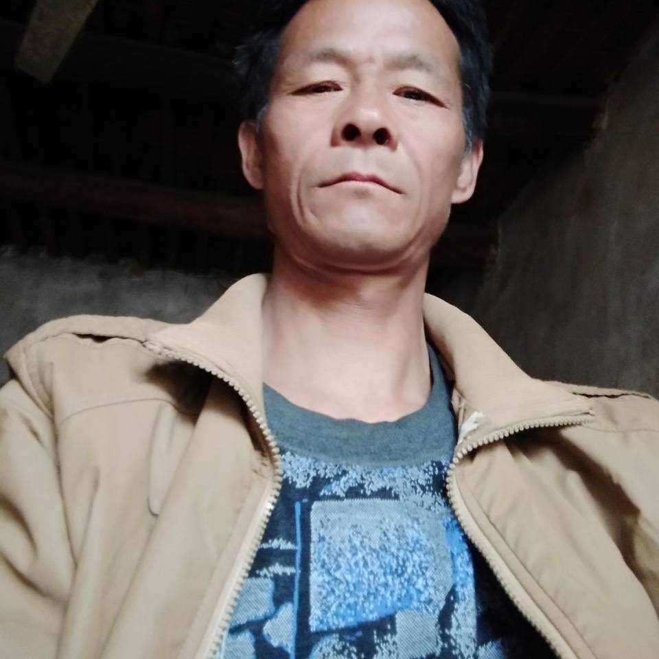 金鱼等于舒服的照片