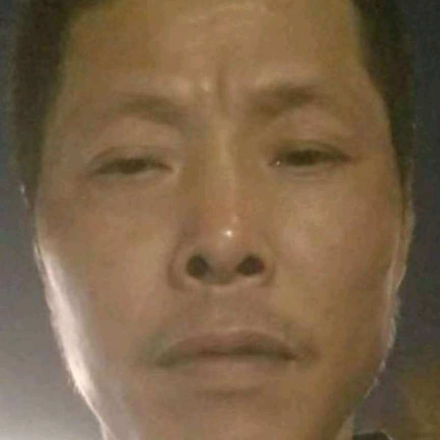 小蝴蝶深拥坚定的照片