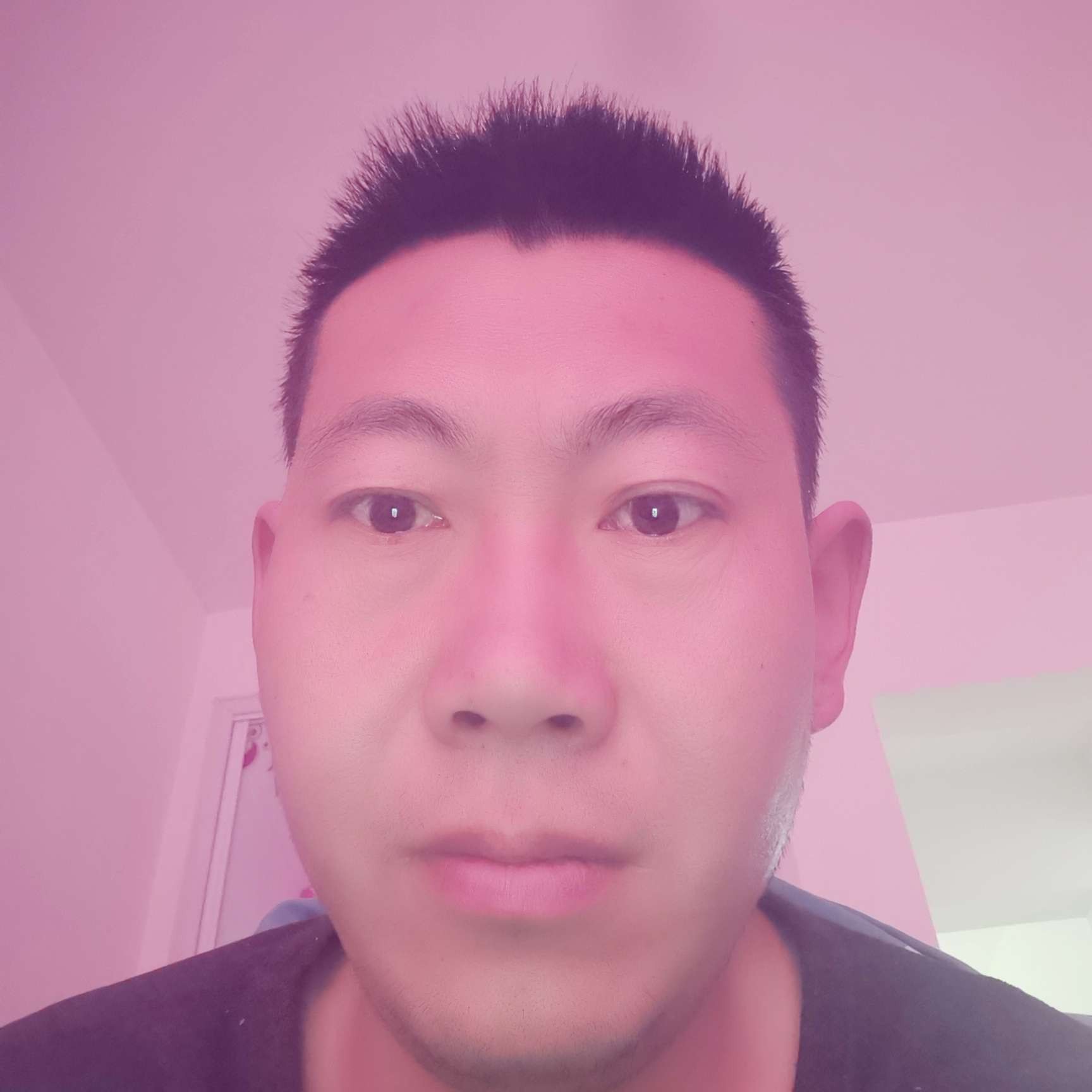 玫瑰愿甜蜜的照片