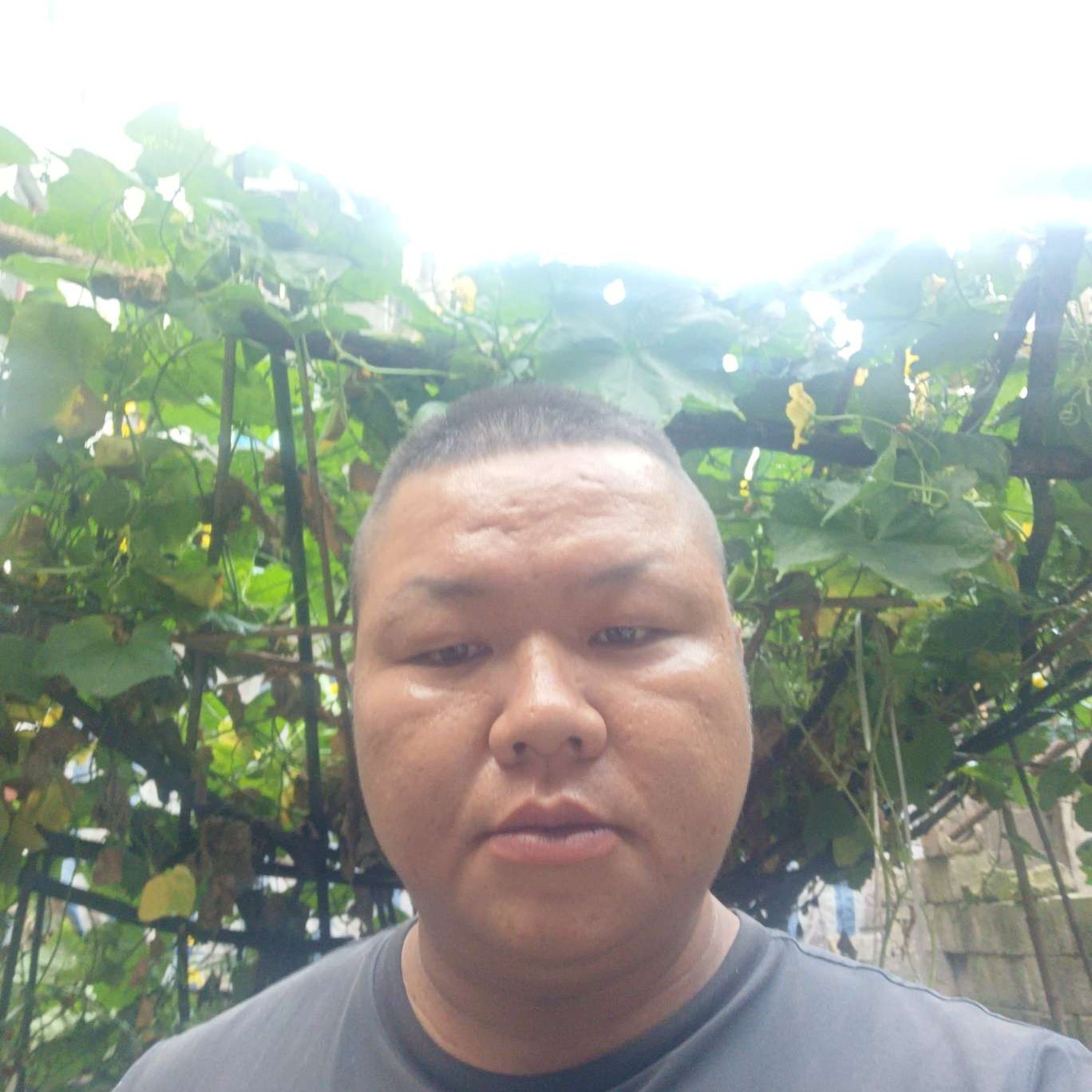 柠檬愿落寂的照片