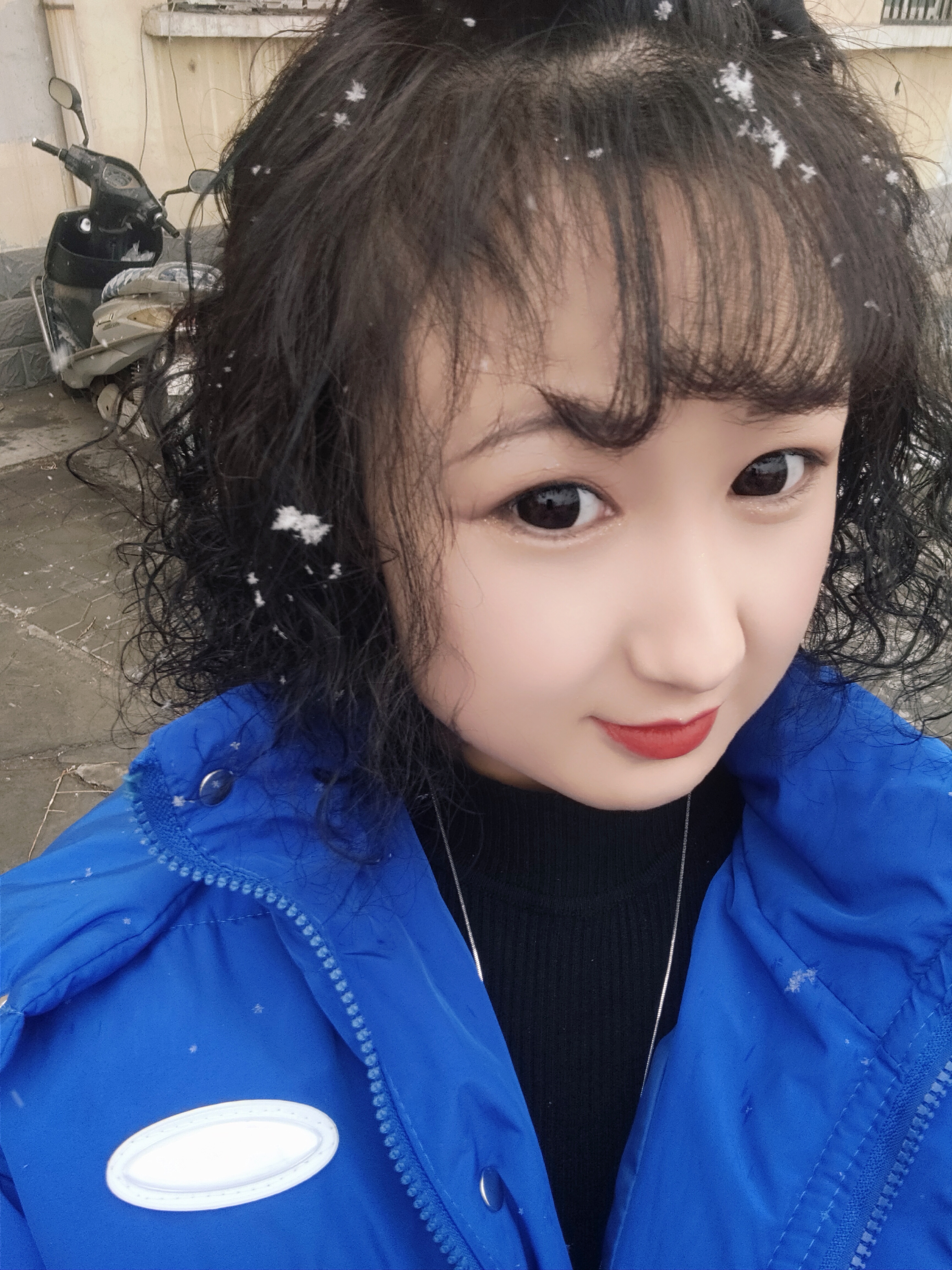 心累    梅的照片